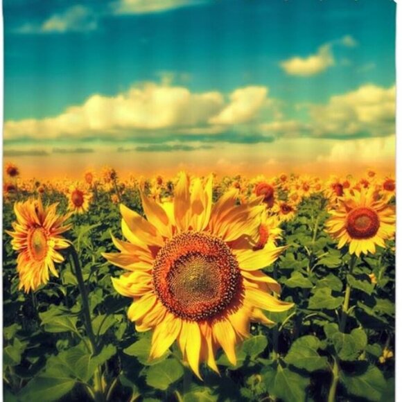 SUNFLOWER TAPESTRY WALL HANGING - Picture 1 of 9